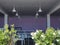 Russia, Sochi 28.06.2020. A dining room with lilac walls, flowers in the foreground and white lamps hanging from the