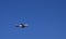 Russia, St. Petersburg - March 10, 2023: Passenger plane flying in the sky