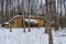 Russia. St. Petersburg, March 14, 2021. Abandoned storage facilities on the site of the former military arsenal in Kronstadt