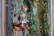 Russia, St. Petersburg, New Year`s mood, winter, garland lights, daylight. New Year`s wreath close-up.