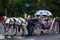 Russia, St. Petersburg - September 10, 2023: Pleasure vintage carriage with horses in retro style