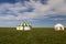 Russia. Two traditional Kalmyk or Mongol yurts in a green spring steppe under the blue sky