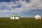 Russia. Two traditional Kalmyk or Mongol yurts with washbasins in a green spring steppe under the blue sky