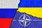 Russia, Ukraine and NATO relations