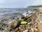 Russia, Vladivostok, Bay of Akhlestyshev on Russkiy island  in summer misty morning