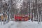 Russia, Winter St. Petersburg, A delightful quiet winter day, an alley in the snow, snow trees, soft daylight. In the foreground i
