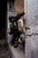 Russian army soldier shoots a machine gun out of hiding in an abandoned building