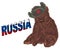 Russian bear and letters