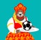 Russian bear and soccer ball. Welcome. Football Championship in