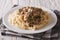 Russian beef stroganoff with pasta fusilli closeup on a plate. h