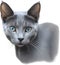 Russian Blue cat, Colored-pencil sketch of a Russian Blue cat. AI-Generated.