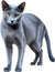 Russian Blue cat, Colored-pencil sketch of a Russian Blue cat. AI-Generated.