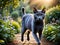 A Russian Blue cat playing in the park