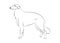 Russian Borzoi dog. Vector outline stock illustration realistic lines silhouette for logo, print,tattoo, coloring book