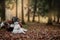 Russian borzoi dogs portrait in an autumn park