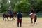 Russian cavalry in the Borodino field.