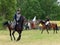 Russian cavalry in the Borodino field.