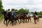 Russian cavalry in the Borodino field.