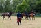 Russian cavalry in the Borodino field.