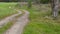 Russian dirt road on nature in windy autumn day