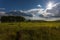 Russian field. View of the lake. Rostov the Great.