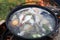 Russian fish soup in cauldron