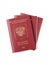 Russian foreign passports