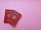 Russian foreign passports on a pink background, flatlay