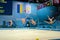 Russian gymnast command during the tournament, Kiev,
