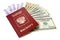 Russian international passport and money