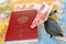 Russian international passport, money, sunglasses and origami pl