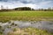 Russian landscape with flooded meadows