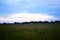 Russian meadow with wild flowers. Evening, clouds.