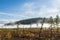 russian nature, forest mist, pine trees in fog, autumn, sun rays