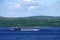 A Russian nuclear powered ballistic missile submarine of Delta-IV Class in Kola Bay, Russia.