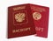 Russian and old soviet international passports