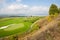 Russian open space. field, forest, sky, road. golf course top view