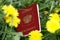 Russian passport lies in the grass in nature