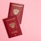 Russian passport on pink background. Travel concept