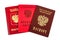 Russian passports and Military ID
