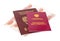 Russian Pension Certificate and Passport