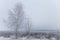 Russian provincial natural landscape in gloomy weather