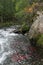 Russian River, Kenia Peninsula, Alaska with salmon