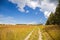 Russian rural landscape with dirt road