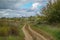 Russian rural landscape in the fall, village houses near the forest. Sky with rain clouds