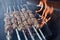 Russian shashlik meat on fire