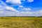 Russian sky and a field with mown hay, harvested in the swaths on a clear summer day in August. Moscow region