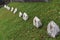 Russian soldier cemetery. Graves of the Soviet soldiers