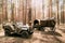 Russian Soviet World War Ii Four-wheel Drive Army Truck Gaz-67 Car