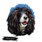 Russian Spaniel dog portrait isolated on white. Digital art illustration for web, t-shirt print and puppy food cover design.